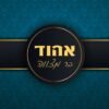 ⁦הזמנה לבר מצווה 12⁩ – תמונה ⁦2⁩