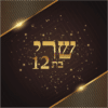 ⁦הזמנה לבת מצווה 32⁩ – תמונה ⁦2⁩