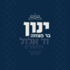 ⁦הזמנה לבר מצווה 40⁩ – תמונה ⁦2⁩